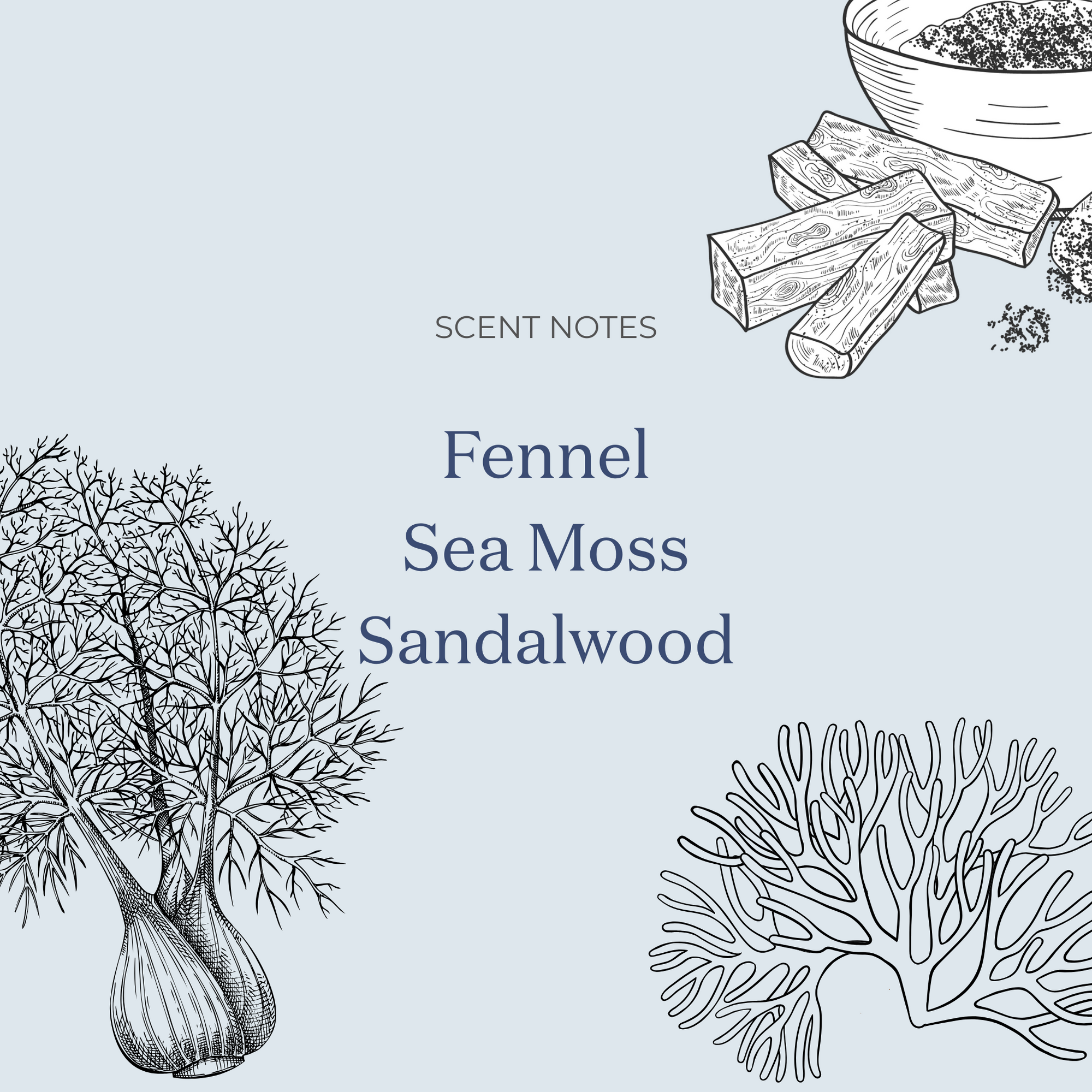 The July Eleventh Candle